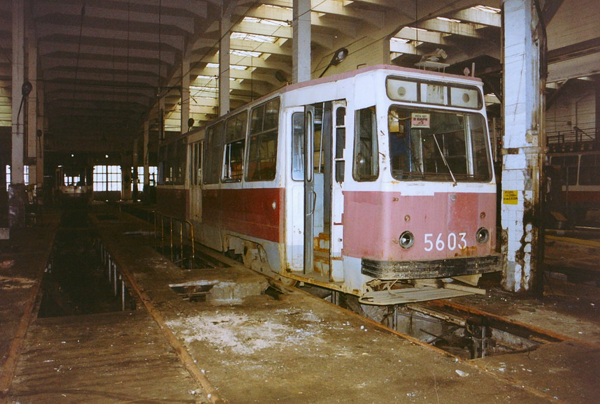 5603_Park_im._Skorokhodowa_reska.jpg